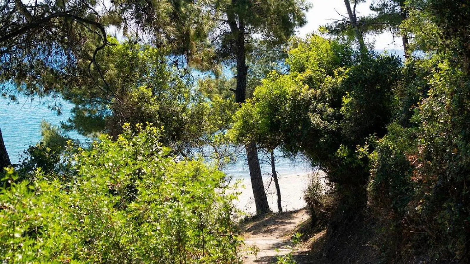 ***  Hotel Paradise Κρυοπηγή Ελλάδα